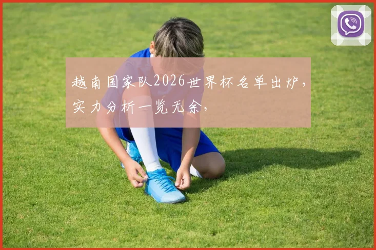 越南国家队2026世界杯名单出炉，实力分析一览无余，