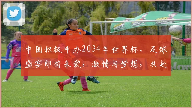 中国积极申办2034年世界杯，足球盛宴即将来袭，激情与梦想，共赴盛宴