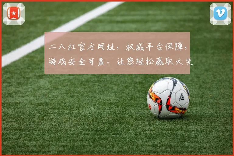 二八杠官方网址，权威平台保障，游戏安全可靠，让您轻松赢取大奖，体验精彩刺激